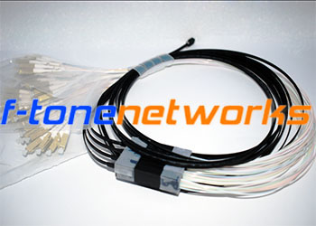 CWDM & DWDMָ/⸴